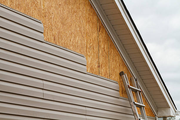Professional Wood Siding technician working in Ebony, VA